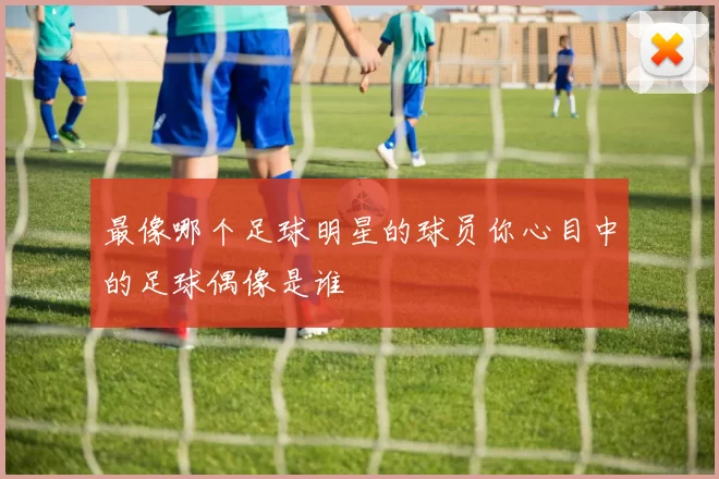 最像哪个足球明星的球员你心目中的足球偶像是谁