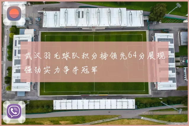 武汉羽毛球队积分榜领先64分展现强劲实力争夺冠军