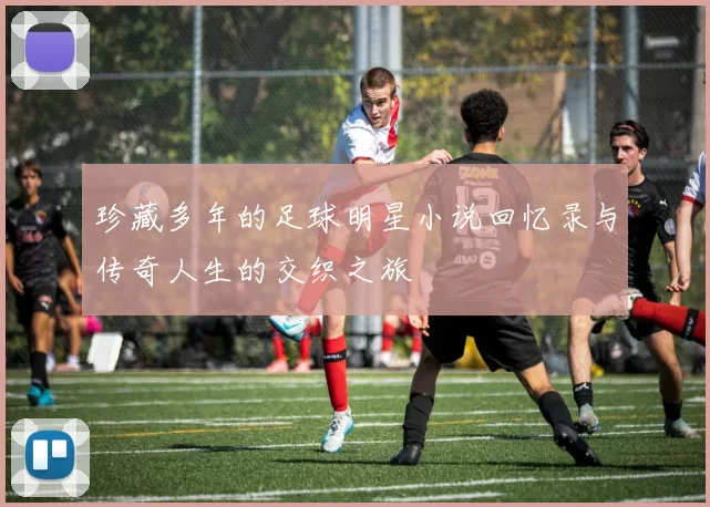 珍藏多年的足球明星小说回忆录与传奇人生的交织之旅