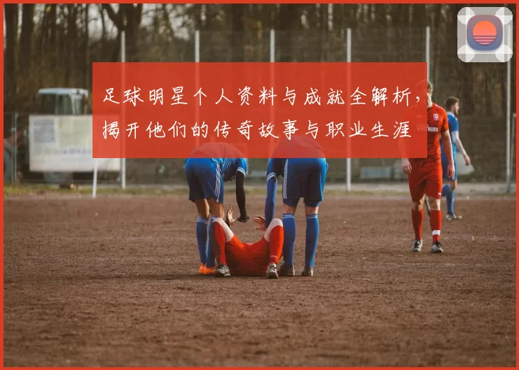 足球明星个人资料与成就全解析，揭开他们的传奇故事与职业生涯
