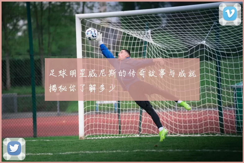 足球明星威尼斯的传奇故事与成就揭秘你了解多少