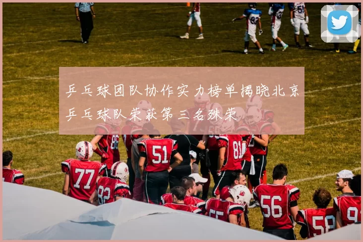 乒乓球团队协作实力榜单揭晓北京乒乓球队荣获第三名殊荣