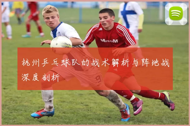 杭州乒乓球队的战术解析与阵地战深度剖析