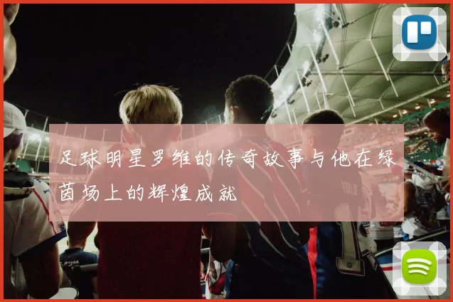 足球明星罗维的传奇故事与他在绿茵场上的辉煌成就
