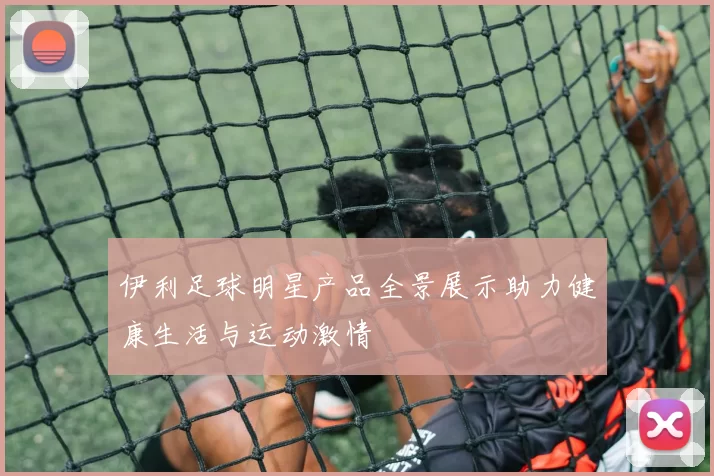 伊利足球明星产品全景展示助力健康生活与运动激情