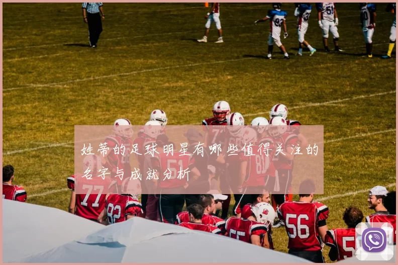 姓蒂的足球明星有哪些值得关注的名字与成就分析