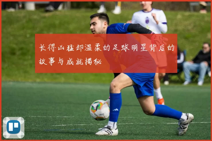 长得凶猛却温柔的足球明星背后的故事与成就揭秘