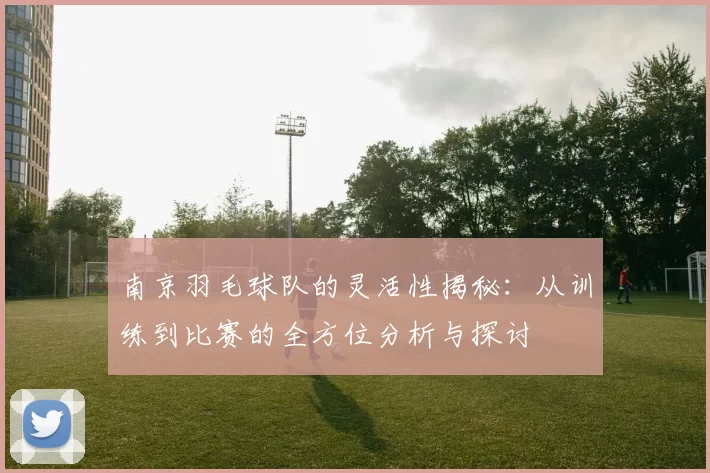 南京羽毛球队的灵活性揭秘：从训练到比赛的全方位分析与探讨