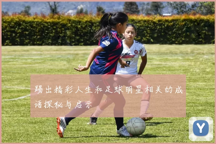 踢出精彩人生和足球明星相关的成语探秘与启示