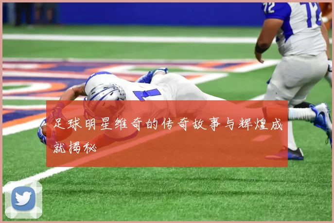 足球明星维奇的传奇故事与辉煌成就揭秘