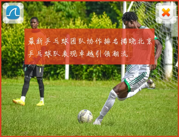 最新乒乓球团队协作排名揭晓北京乒乓球队表现卓越引领潮流
