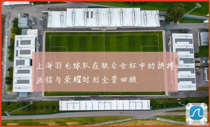 上海羽毛球队在联合会杯中的拼搏历程与荣耀时刻全景回顾