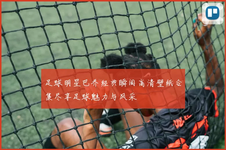 足球明星巴乔经典瞬间高清壁纸合集尽享足球魅力与风采