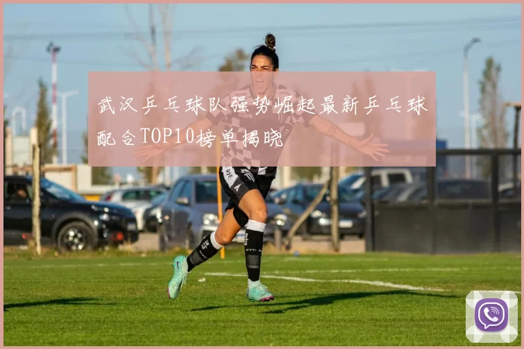 武汉乒乓球队强势崛起最新乒乓球配合TOP10榜单揭晓
