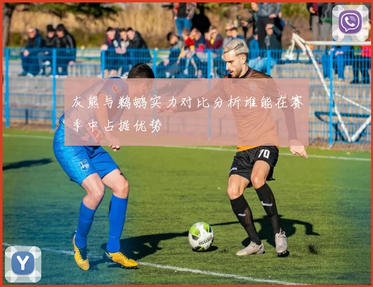 灰熊与鹈鹕实力对比分析谁能在赛季中占据优势