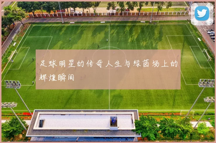 足球明星的传奇人生与绿茵场上的辉煌瞬间
