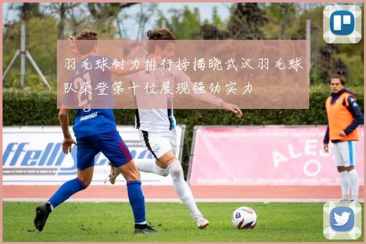 羽毛球耐力排行榜揭晓武汉羽毛球队荣登第十位展现强劲实力