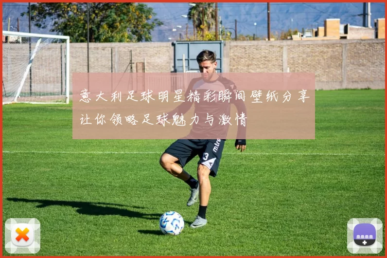 意大利足球明星精彩瞬间壁纸分享让你领略足球魅力与激情
